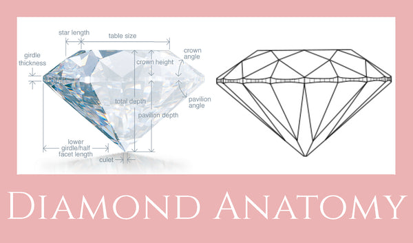 Diamond Anatomy